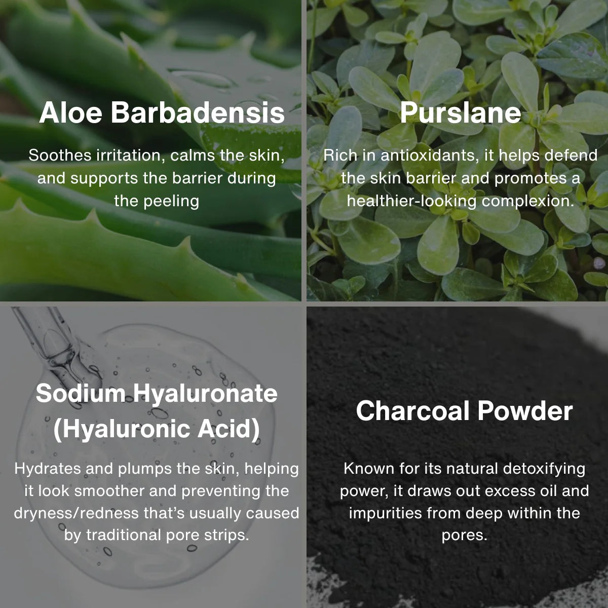 Pore Cleansing Patch-System FREE