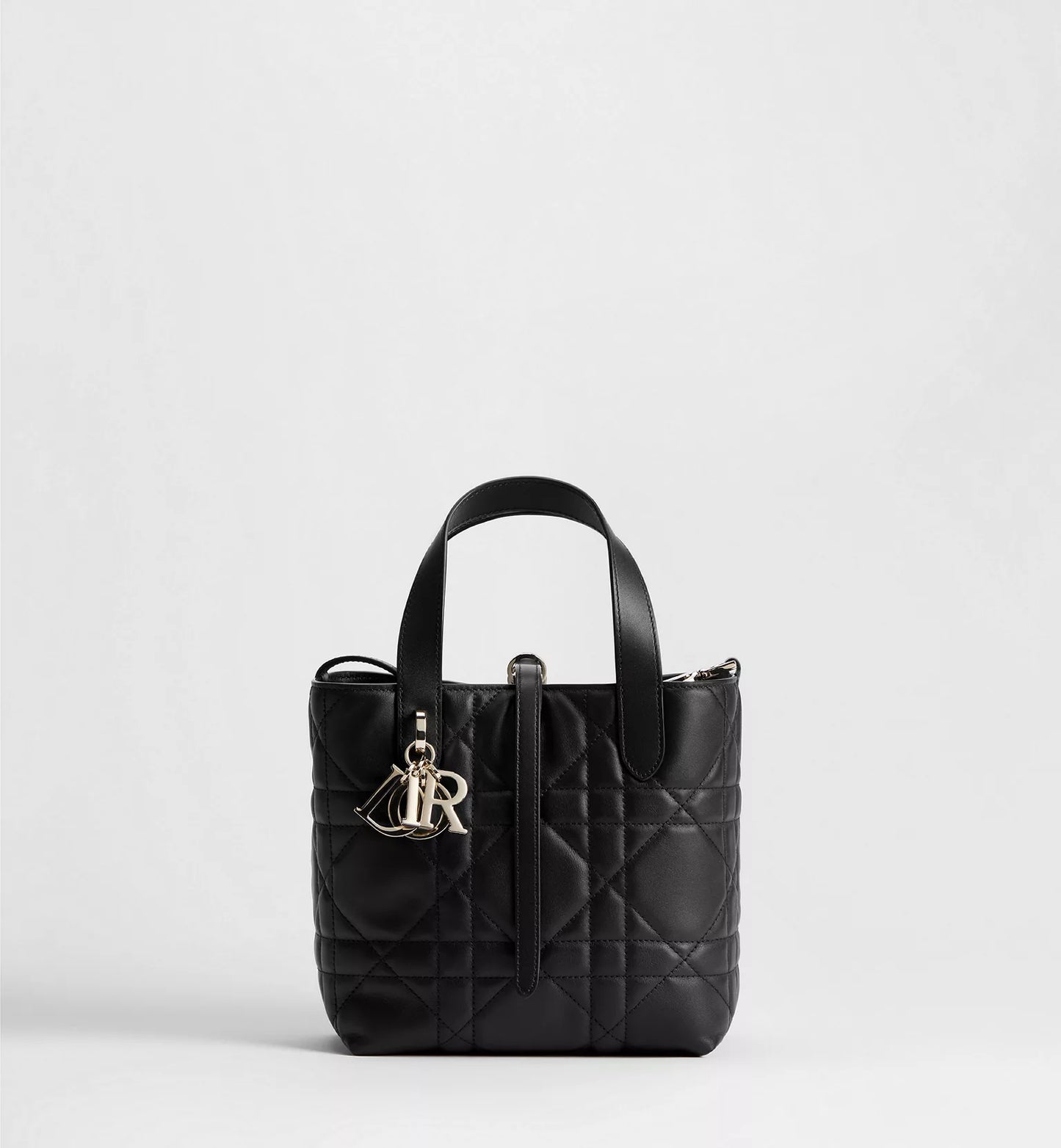 Small Dior Toujours Vertical Tote Bag