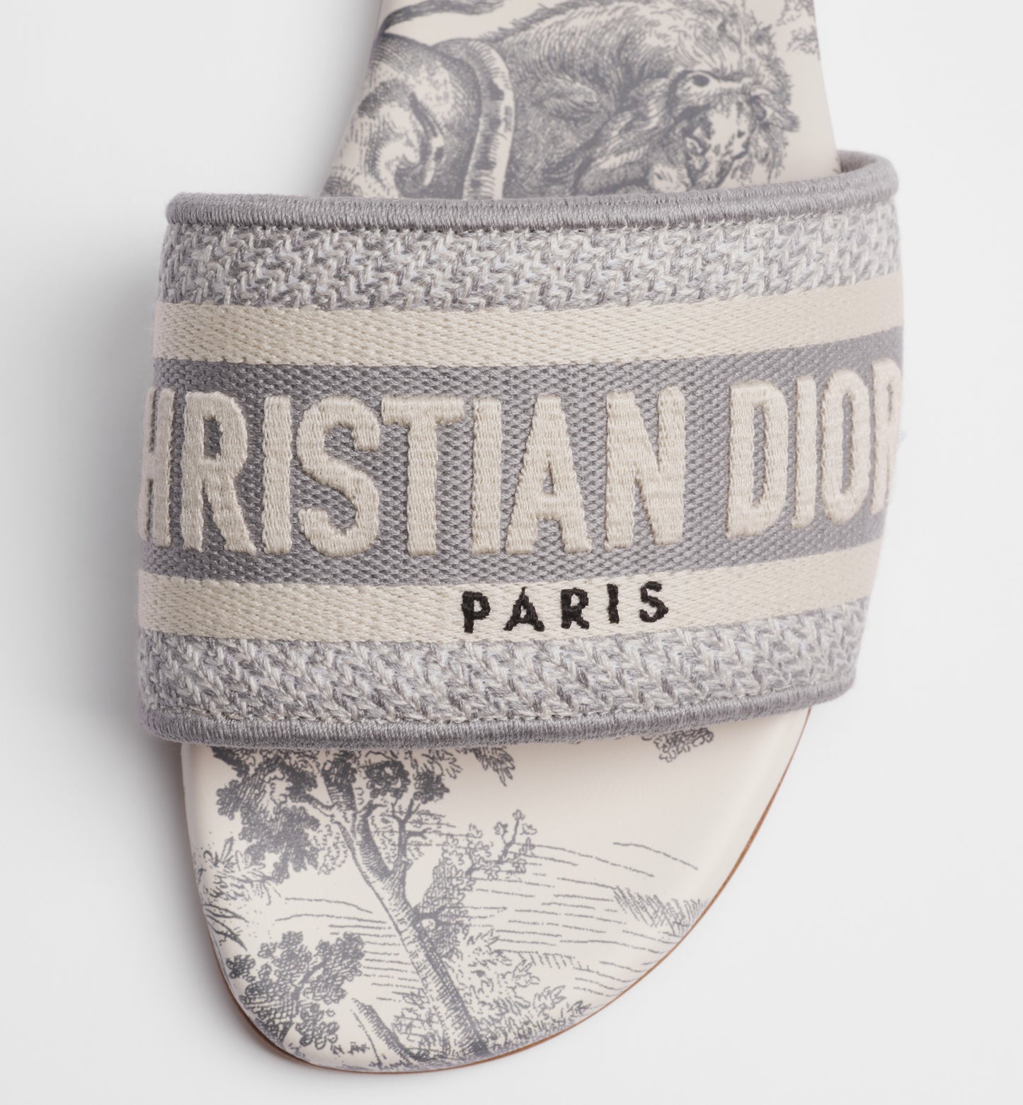 Dior Dway Slide