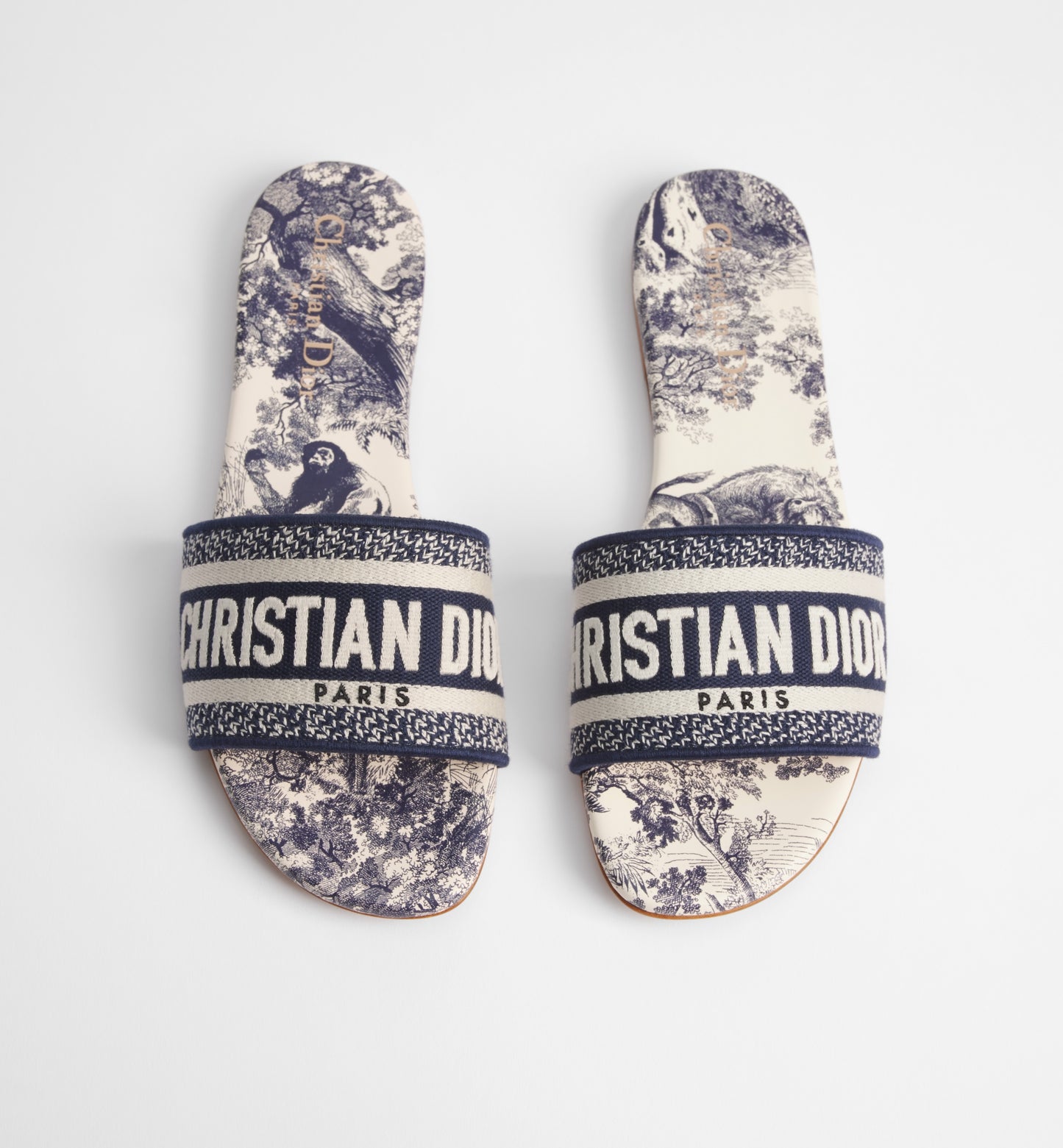 Dior Dway Slide