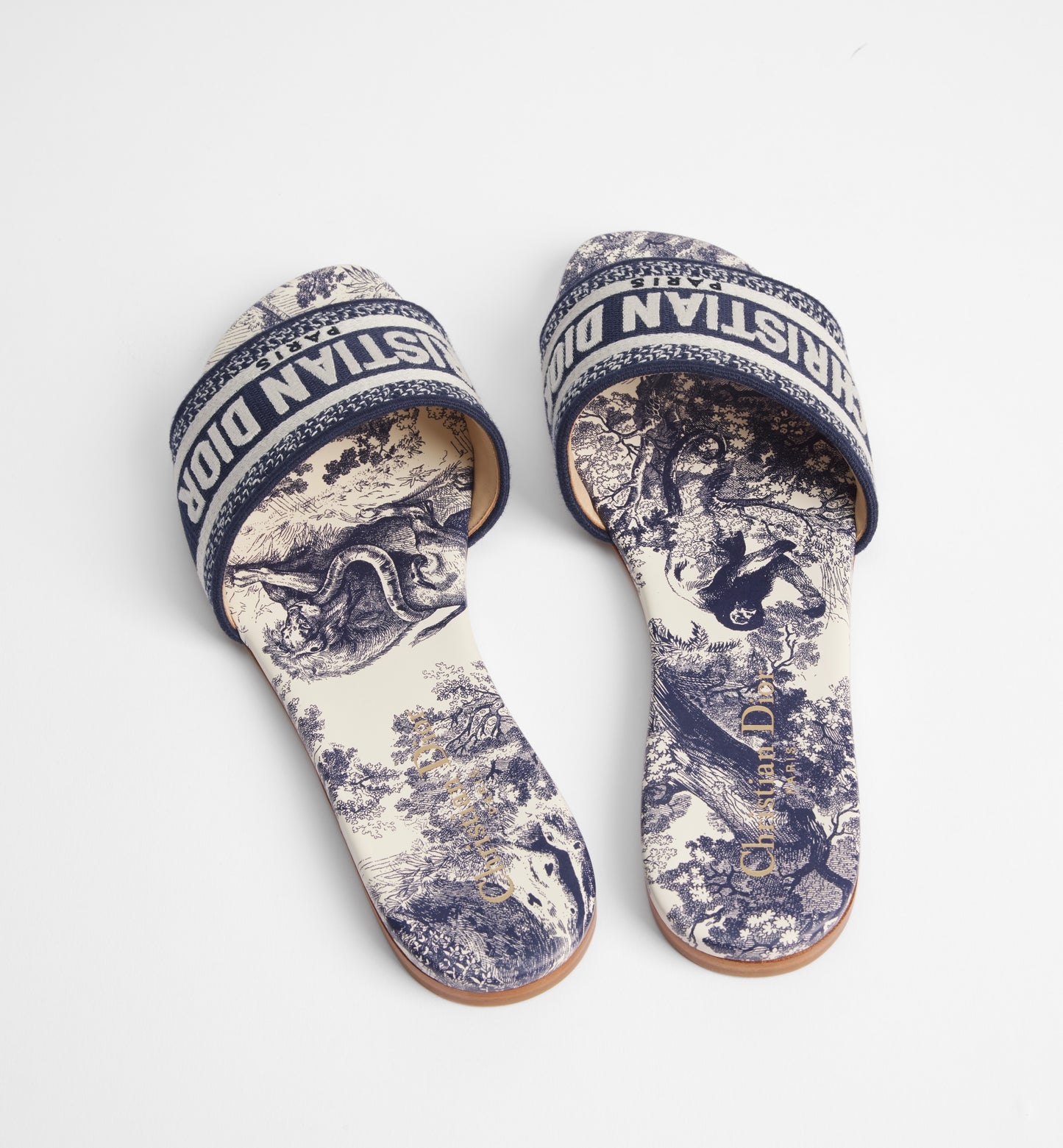 Dior Dway Slide
