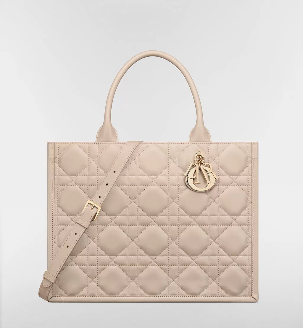 Medium Dior Book Tote