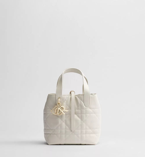 Small Dior Toujours Vertical Tote Bag