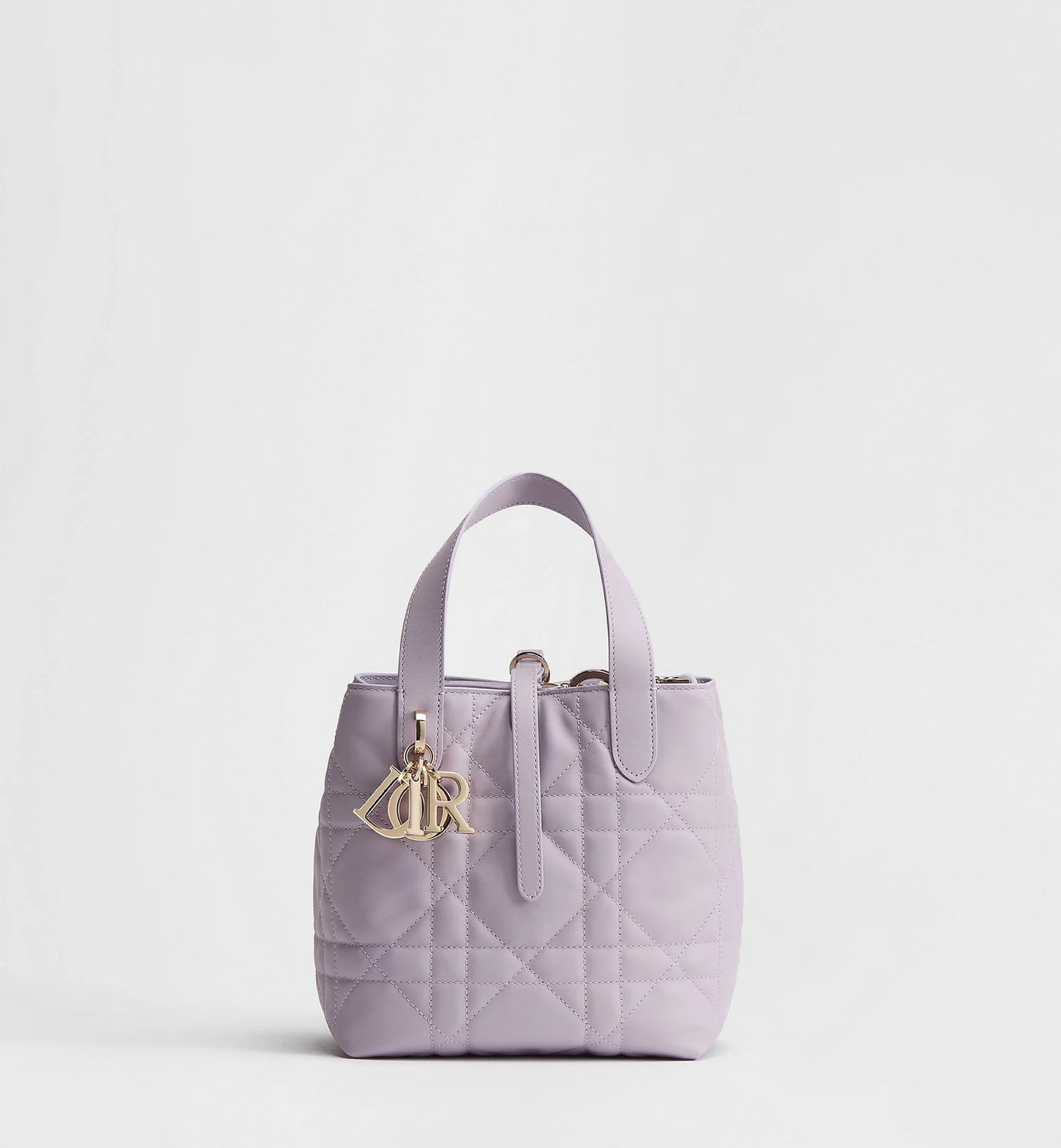 Small Dior Toujours Vertical Tote Bag