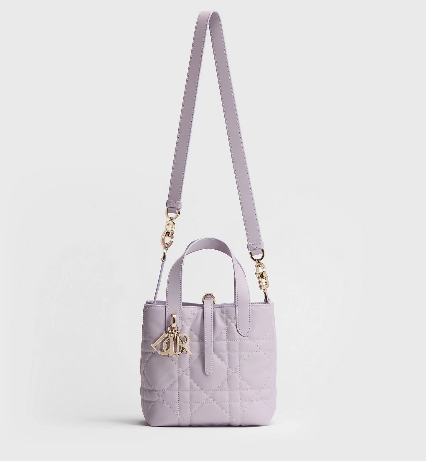 Small Dior Toujours Vertical Tote Bag