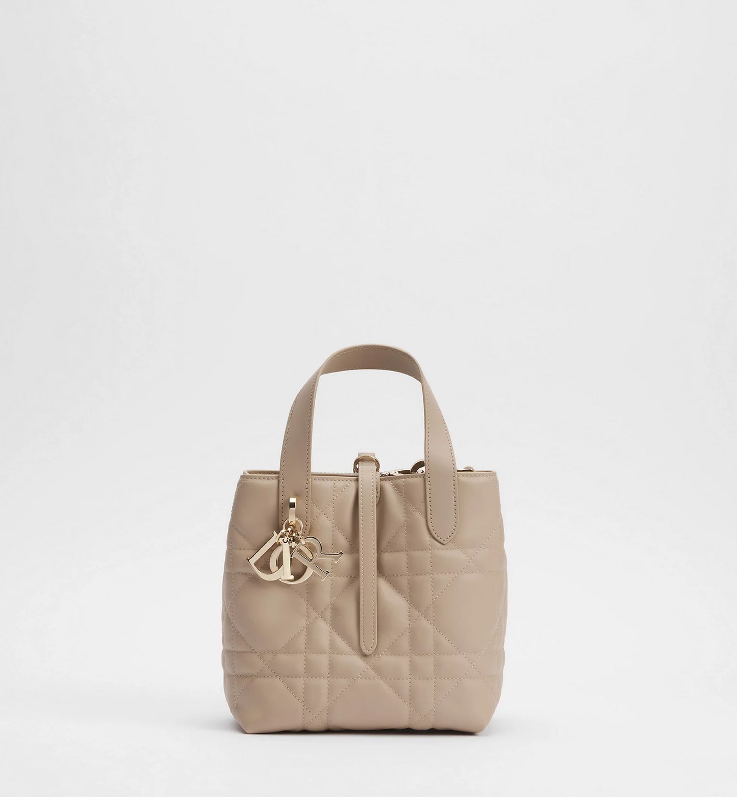 Small Dior Toujours Vertical Tote Bag