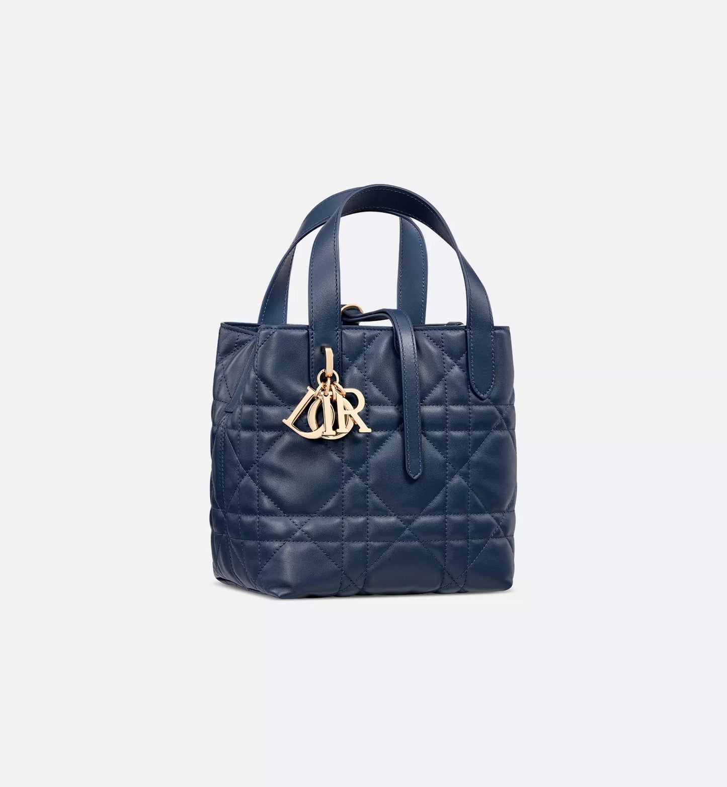 Small Dior Toujours Vertical Tote Bag