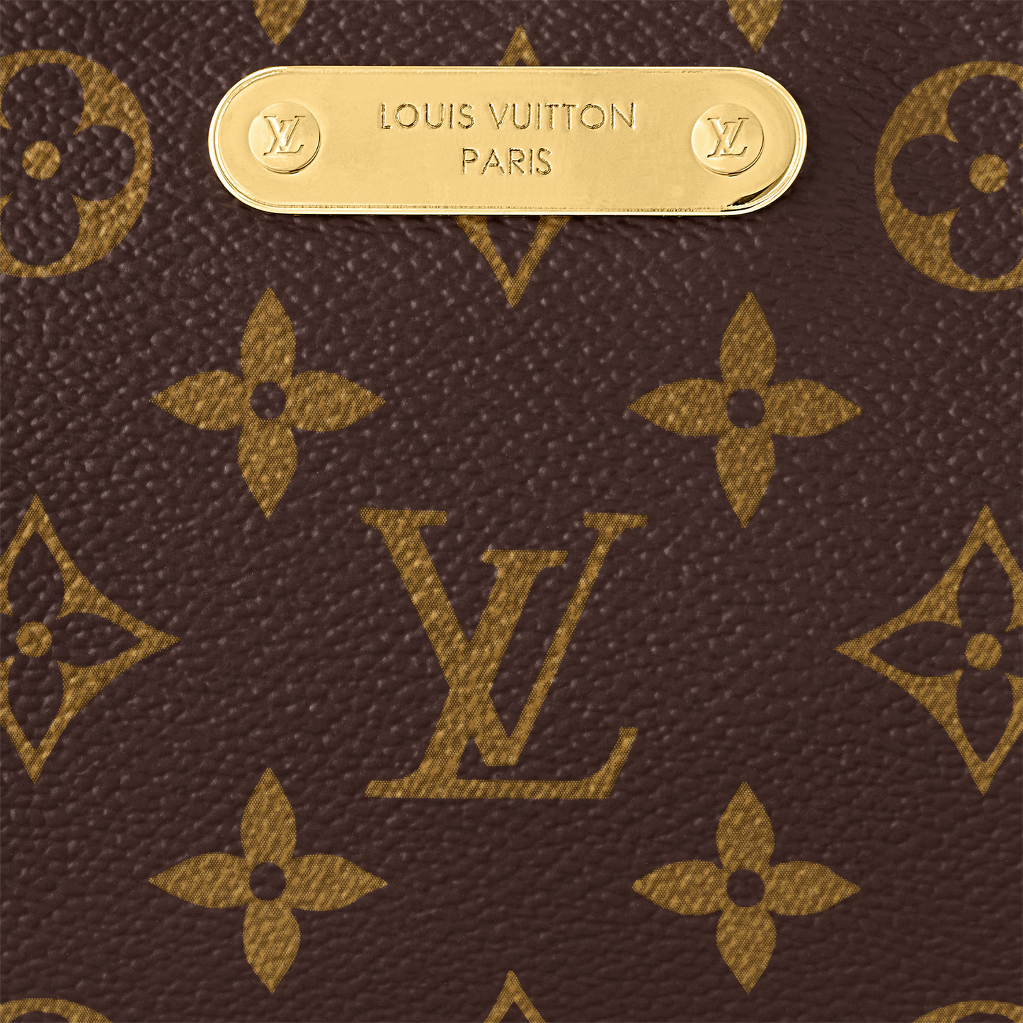 LV Pochette Liv
